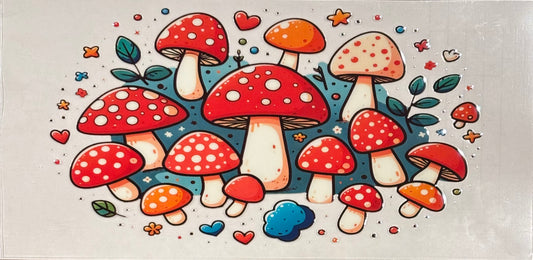 Plants 16