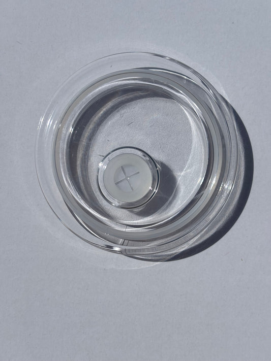 Colored Lid (Solid)