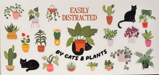 Plants 7