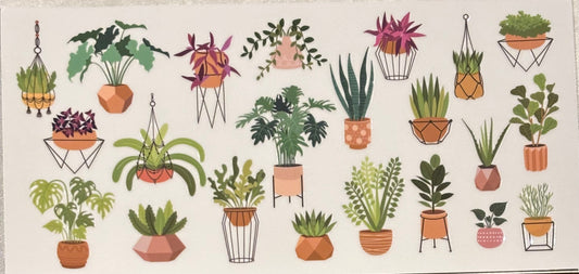 Plants 9