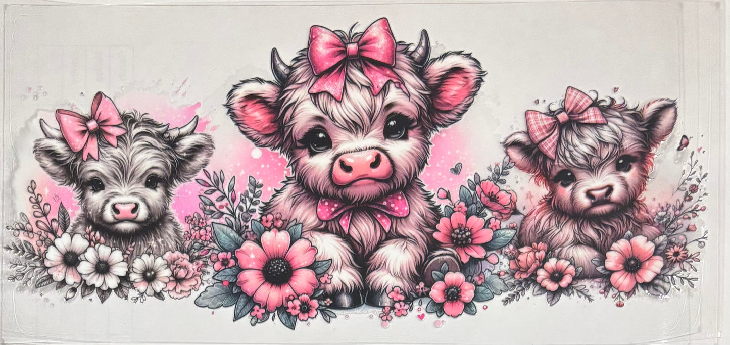 Animal 31