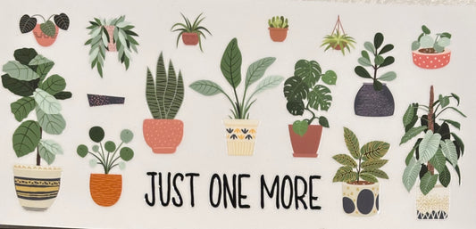 Plants 1