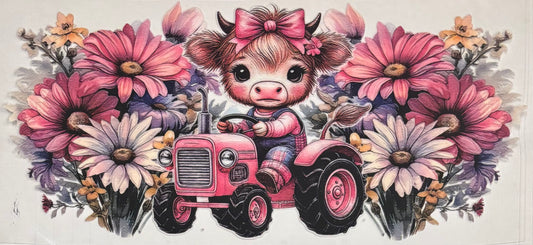 Animal 23