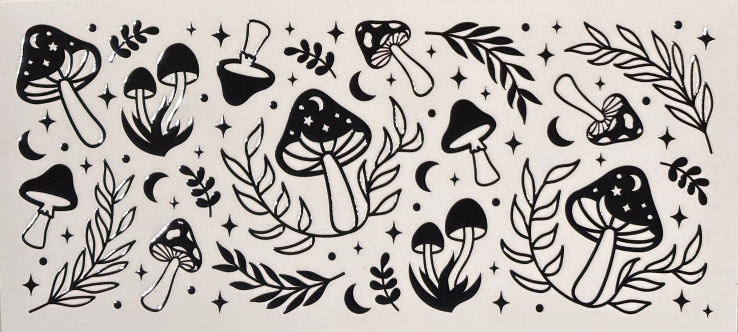 Plants 13