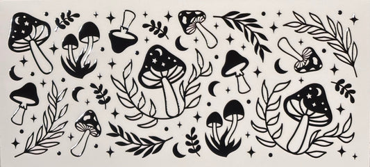 Plants 13