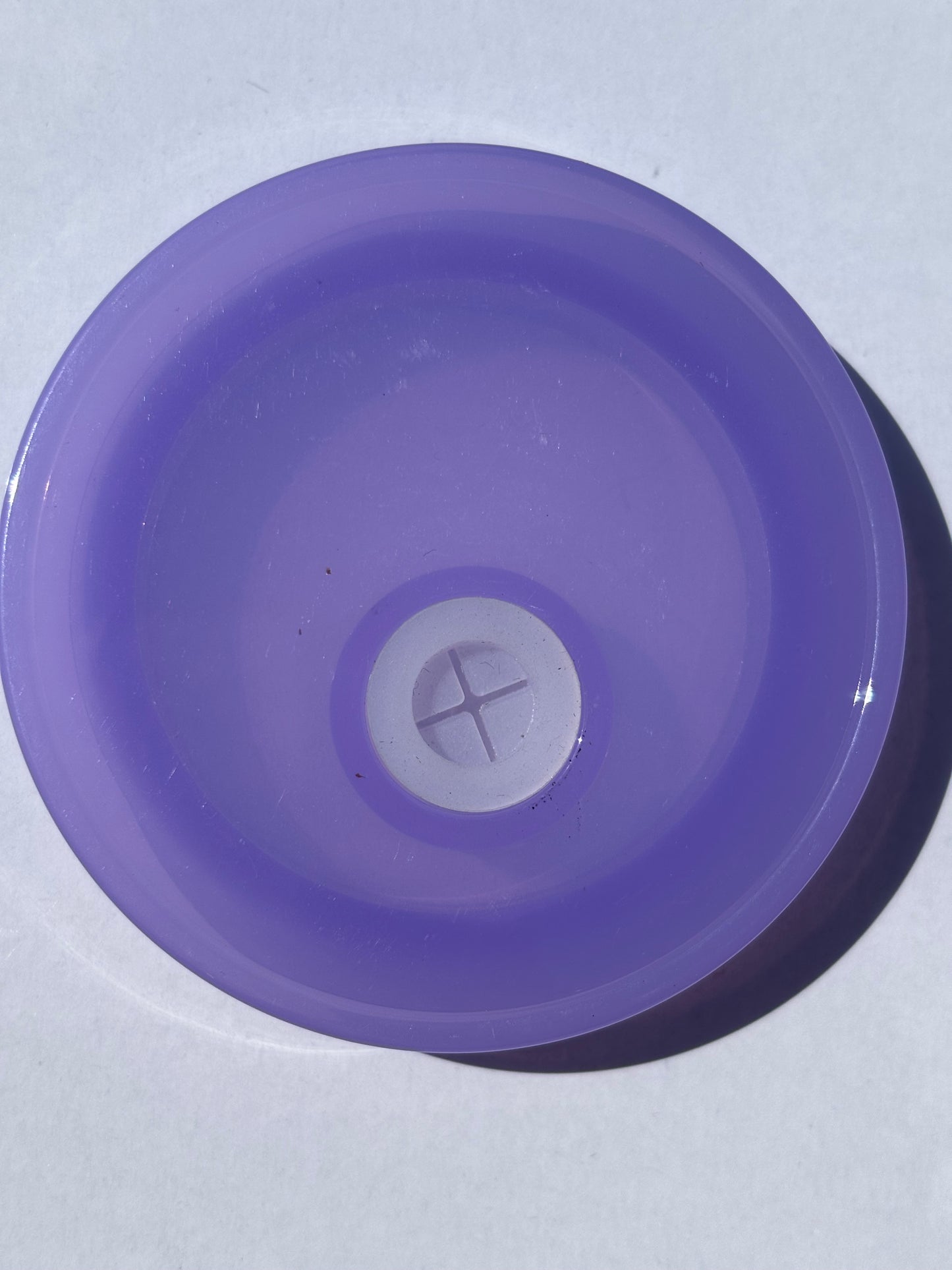 Colored Lid (Solid)